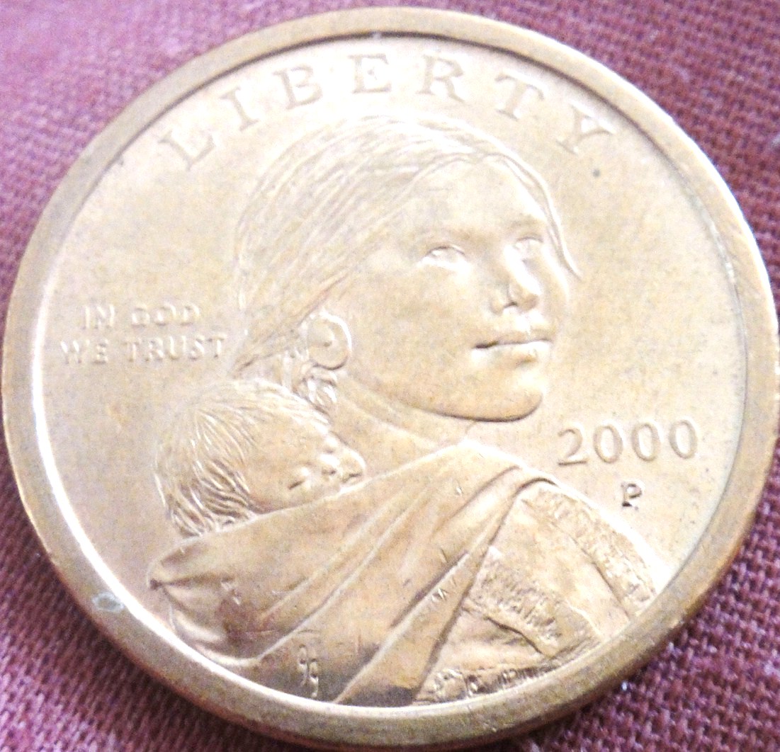 Opinions-On-A-Sac-Wounded-Eagle-Specimen